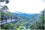 Abi King - woman looking across a viewing platform at Mashpi Lodge in a cloud forest in Ecuador