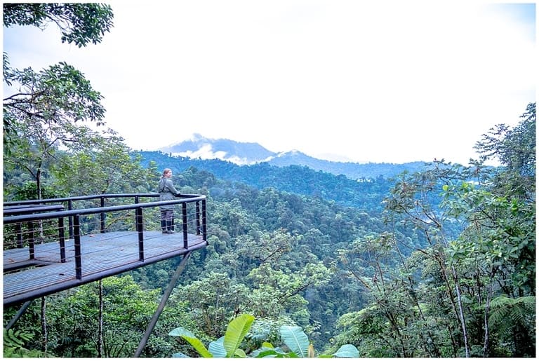 Abi King - woman looking across a viewing platform at Mashpi Lodge in a cloud forest in Ecuador