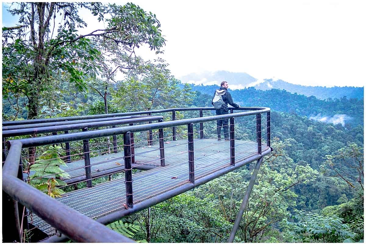Ecuador Cloud Forest Mashpi Lodge Man on viewing platform