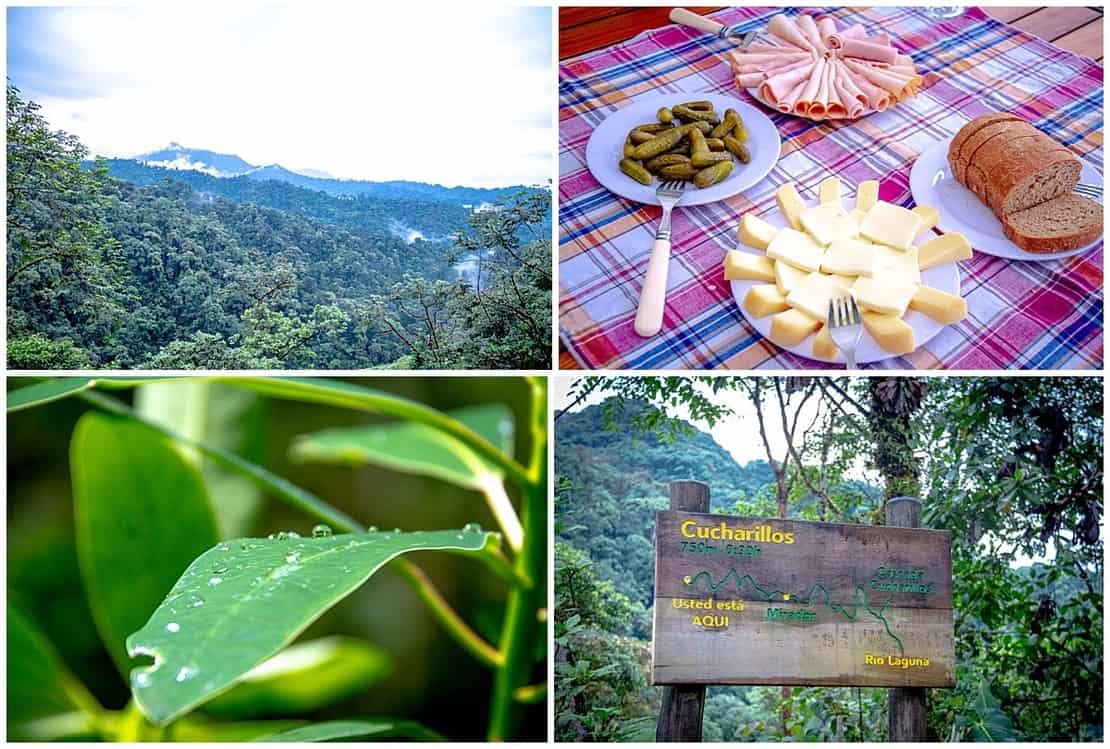 Picnic in the Ecuador cloud forest collage  with ham and cheese and a signpost
