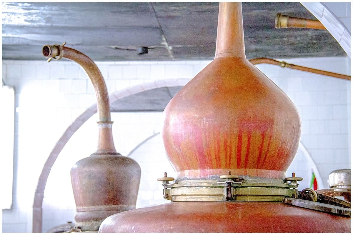 Gin distillery apparatus in Mahon at Xoriguer Distillery