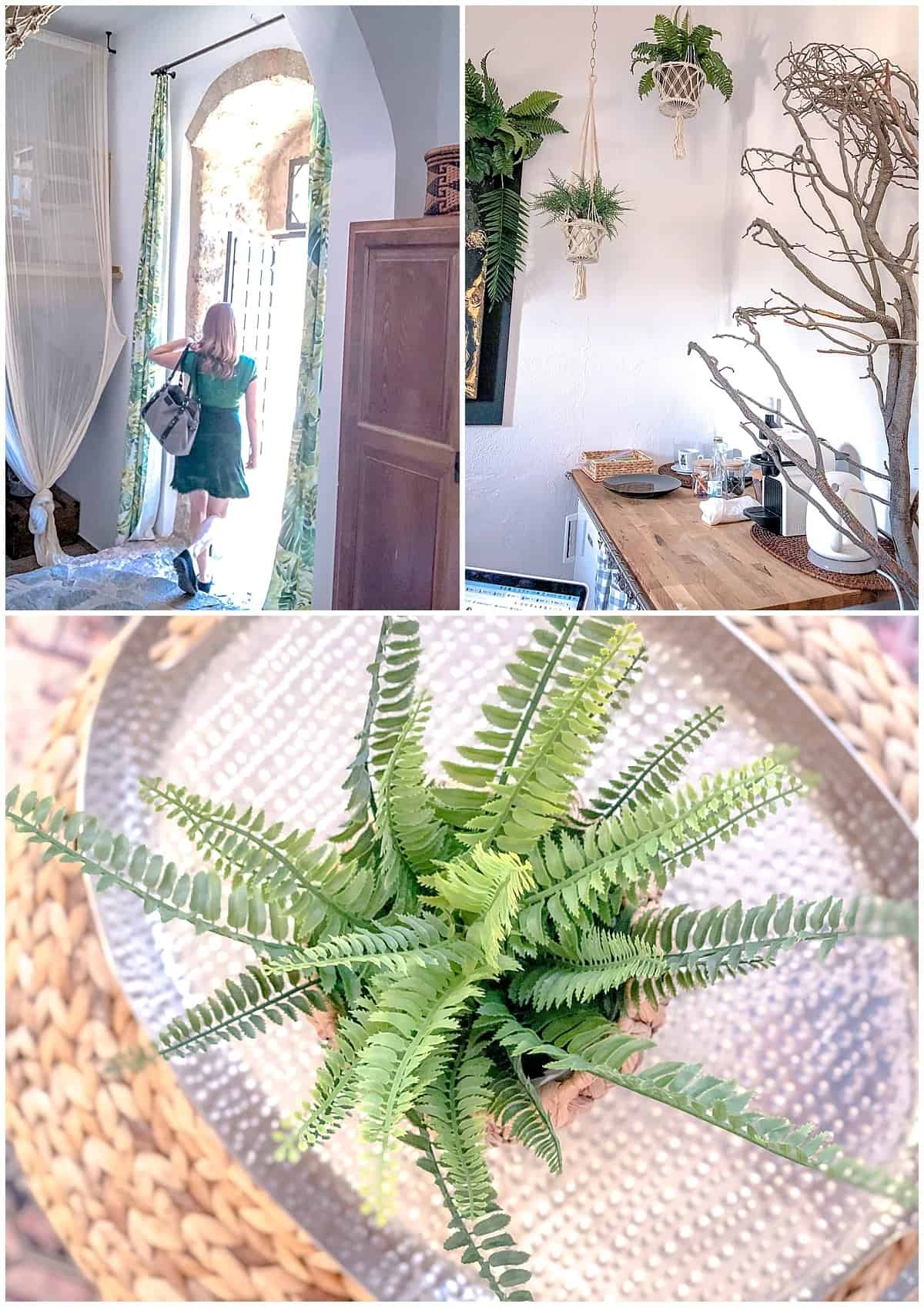 Green plants kitchen and door at Villa Vager Mani
