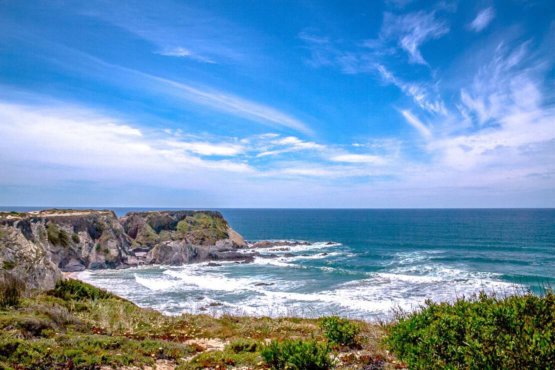 Cork Trees in Portugal. What’s all the Fuss?