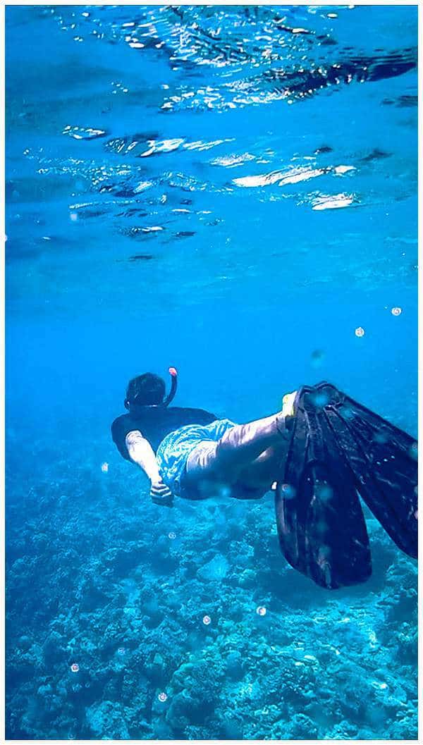 Snorkel in the Maldives - underwater shot