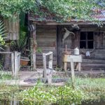 Louisiana -New Orleans - Swamp Shack