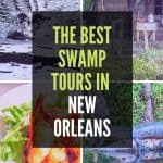 The best swamp tours in New Orleans - a round up of the best swamp tours and why it's worth going on them! From day trips to night tours, plantation tours and air boats, here's how to pick the best swamp tour for you from New Orleans. #USA #NOLA #NewOrleans