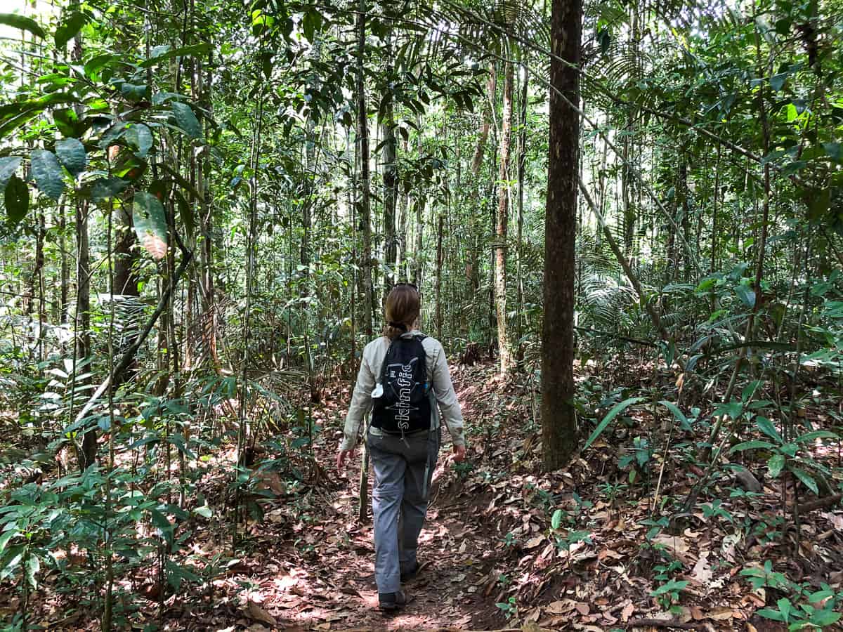 Brazil - Amazonas - Presidente Figueiredo Park - Hiker - Abigail King