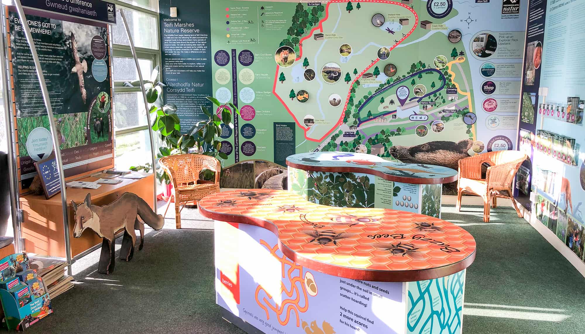 Cilgerran Wildlife Centre Interior