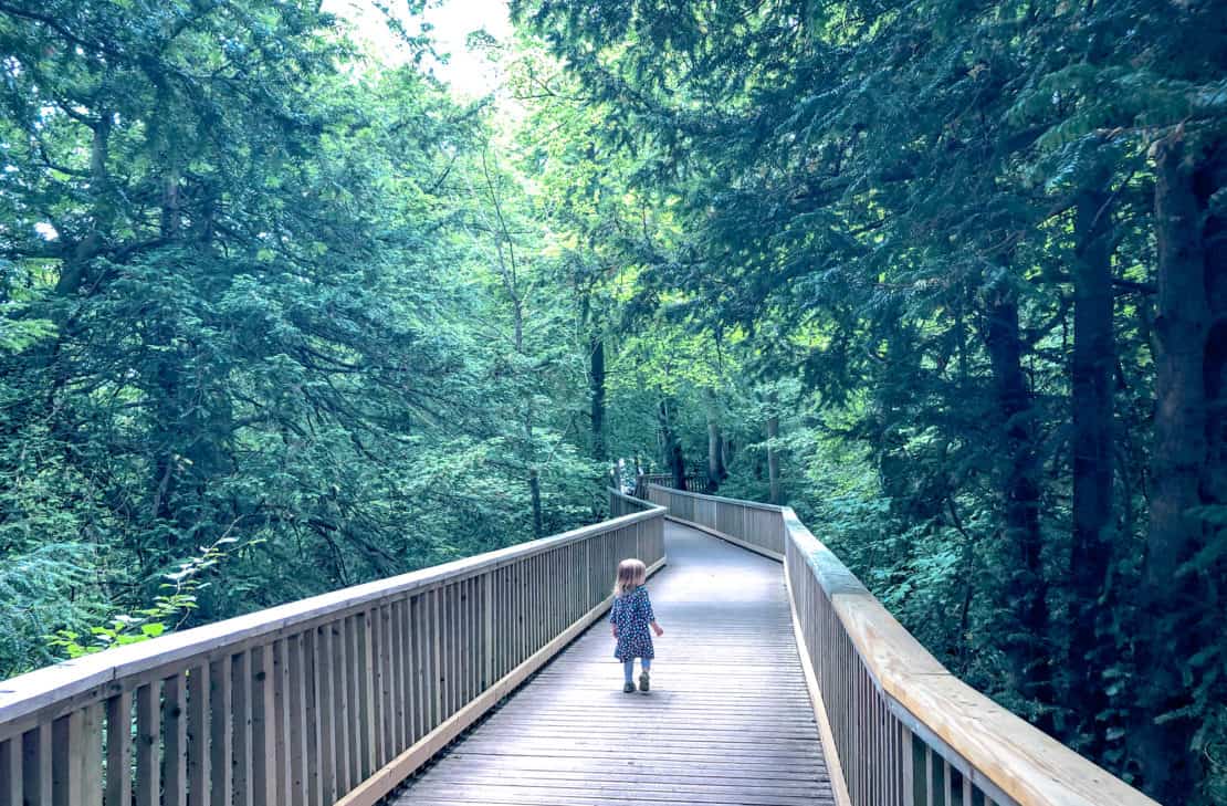 Rethinking Earth Day Inside the Travel Lab