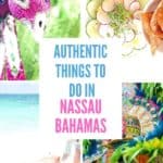 Nassau Bahamas Things to Do Collage