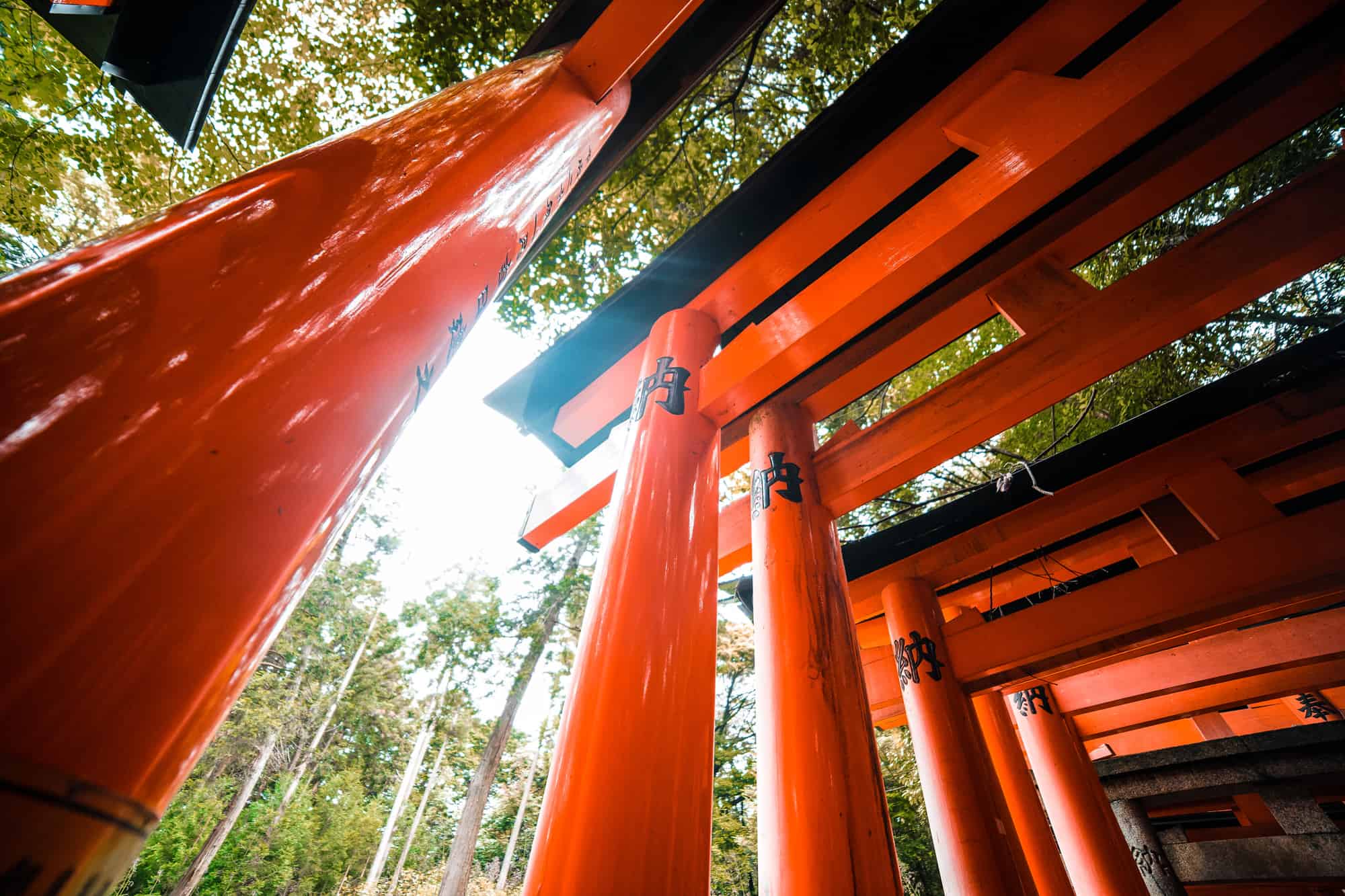 Japan - Kyoto - Fushimi-Inari-Taisha Temple Red Tori Interior