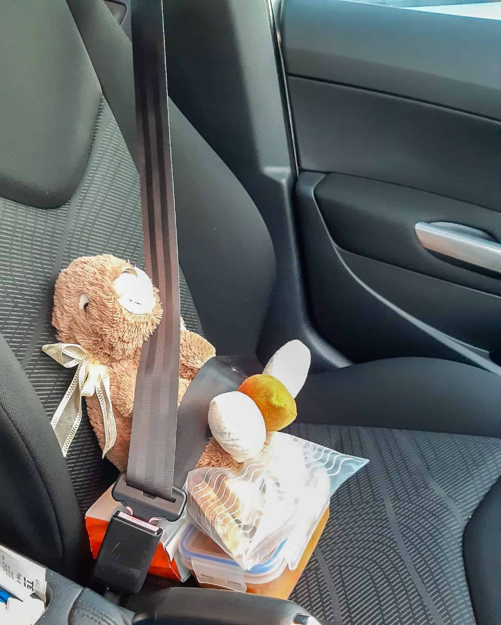 Baby travel essentials - car seat bunny in seatbelt