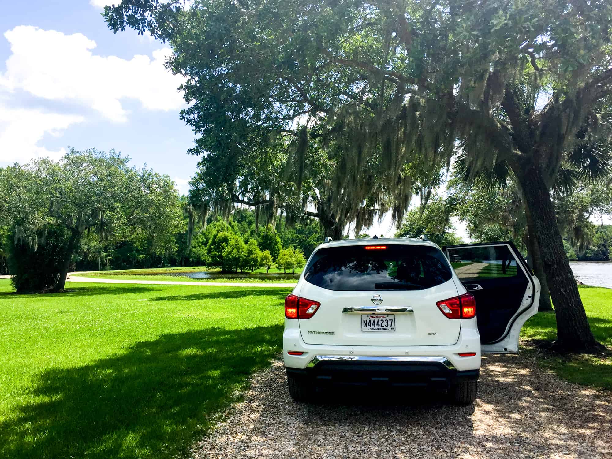 Car Rental Checklist - rental car beneath live oak in Louisiana