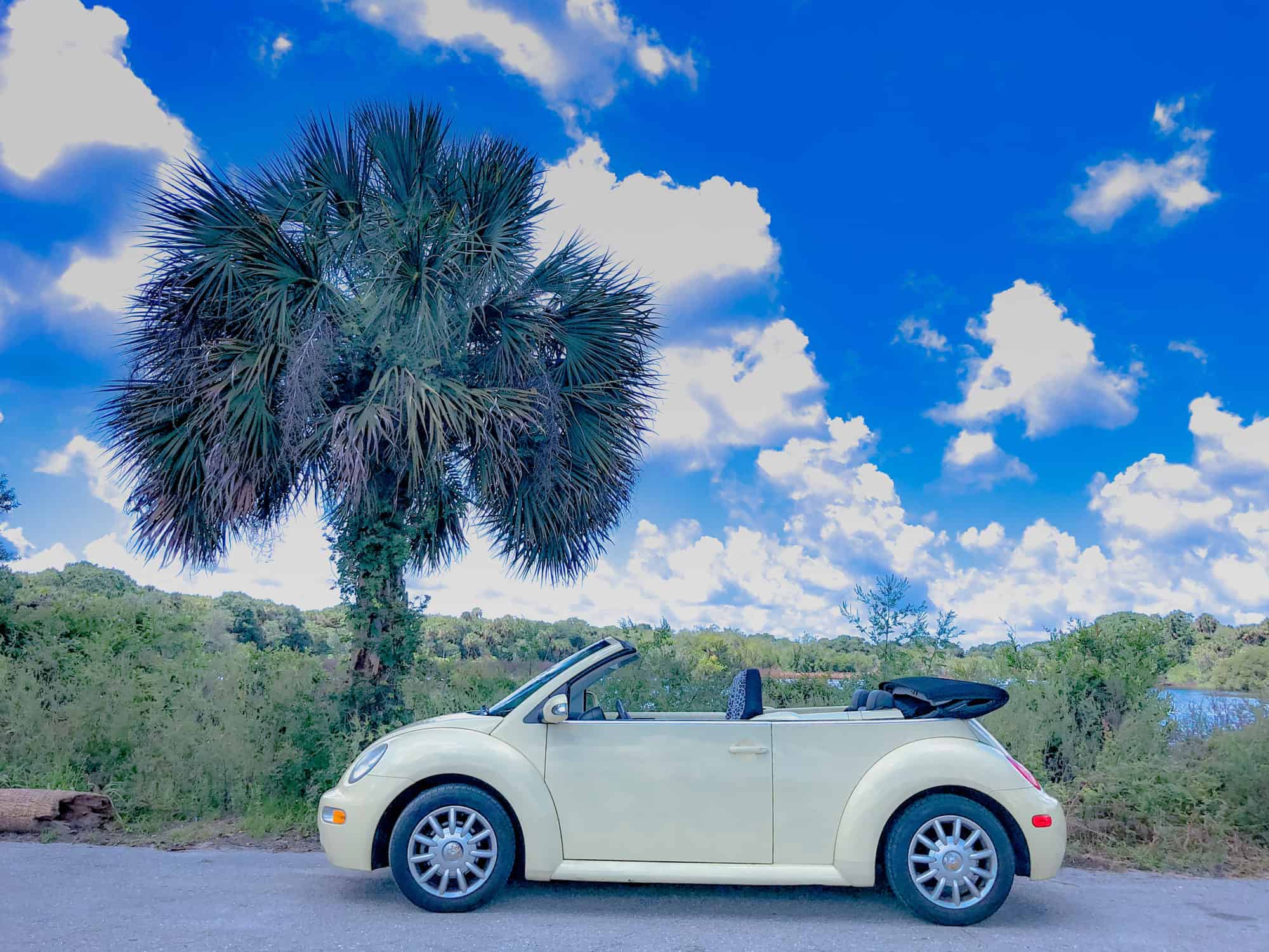USA - Florida - Yellow car on the road