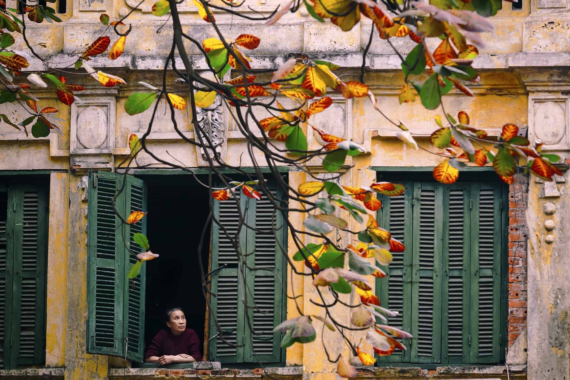 Vietnam - Autumn in Hanoi - Old Quarter Fall Leaves and Woman in Window