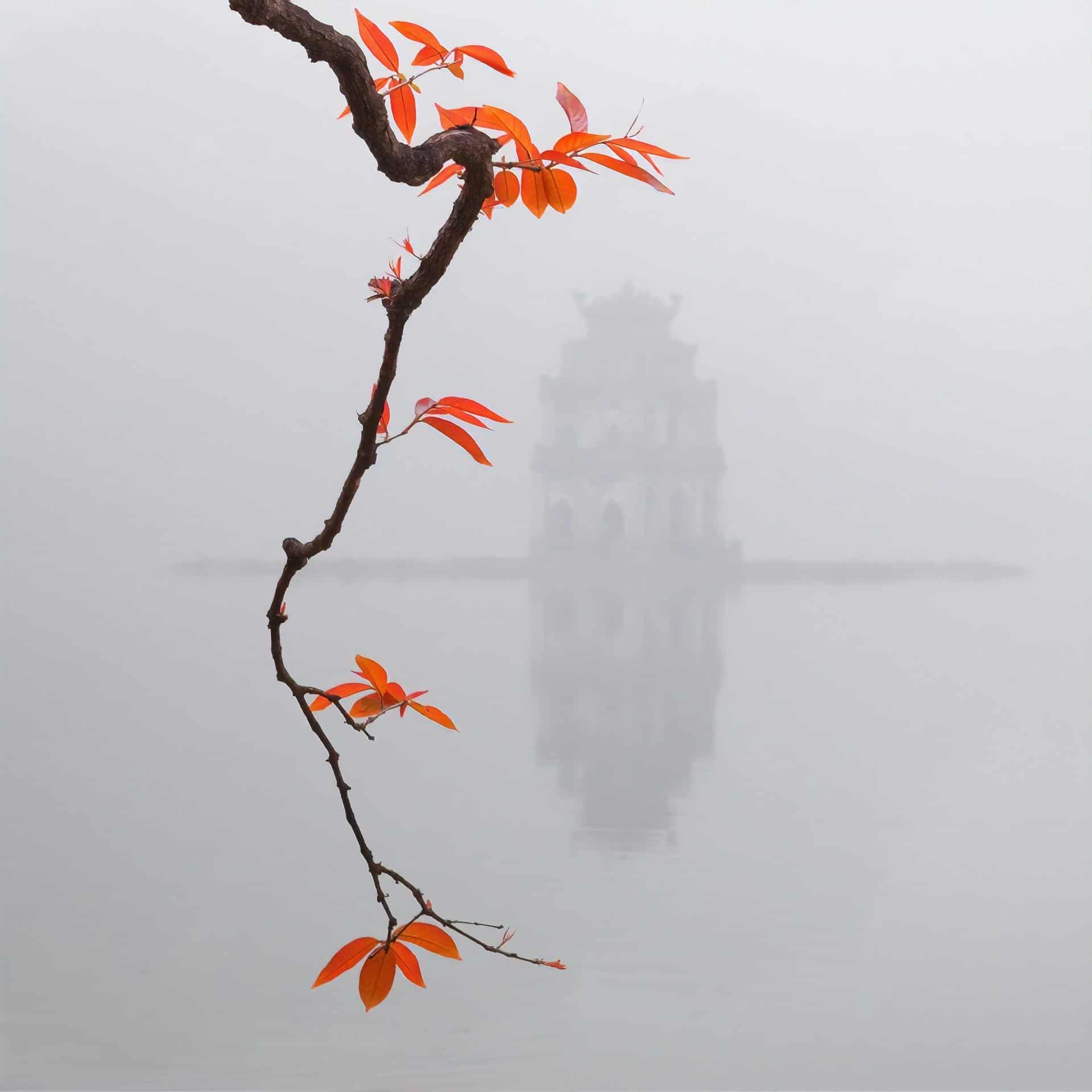 Vietnam - Autumn in Hanoi - hoan-kiem-lake-