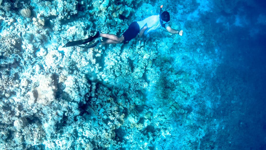 Family Bucket List swim and snorkel