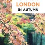 The best of London in autumn
