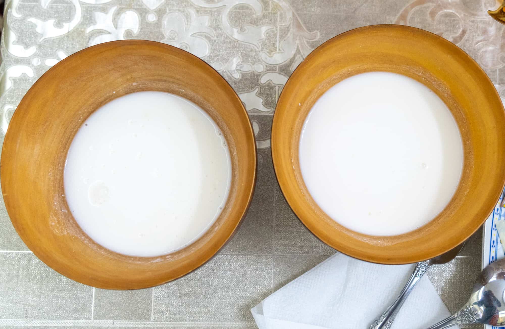 Kazakhstan Food - fermented milk