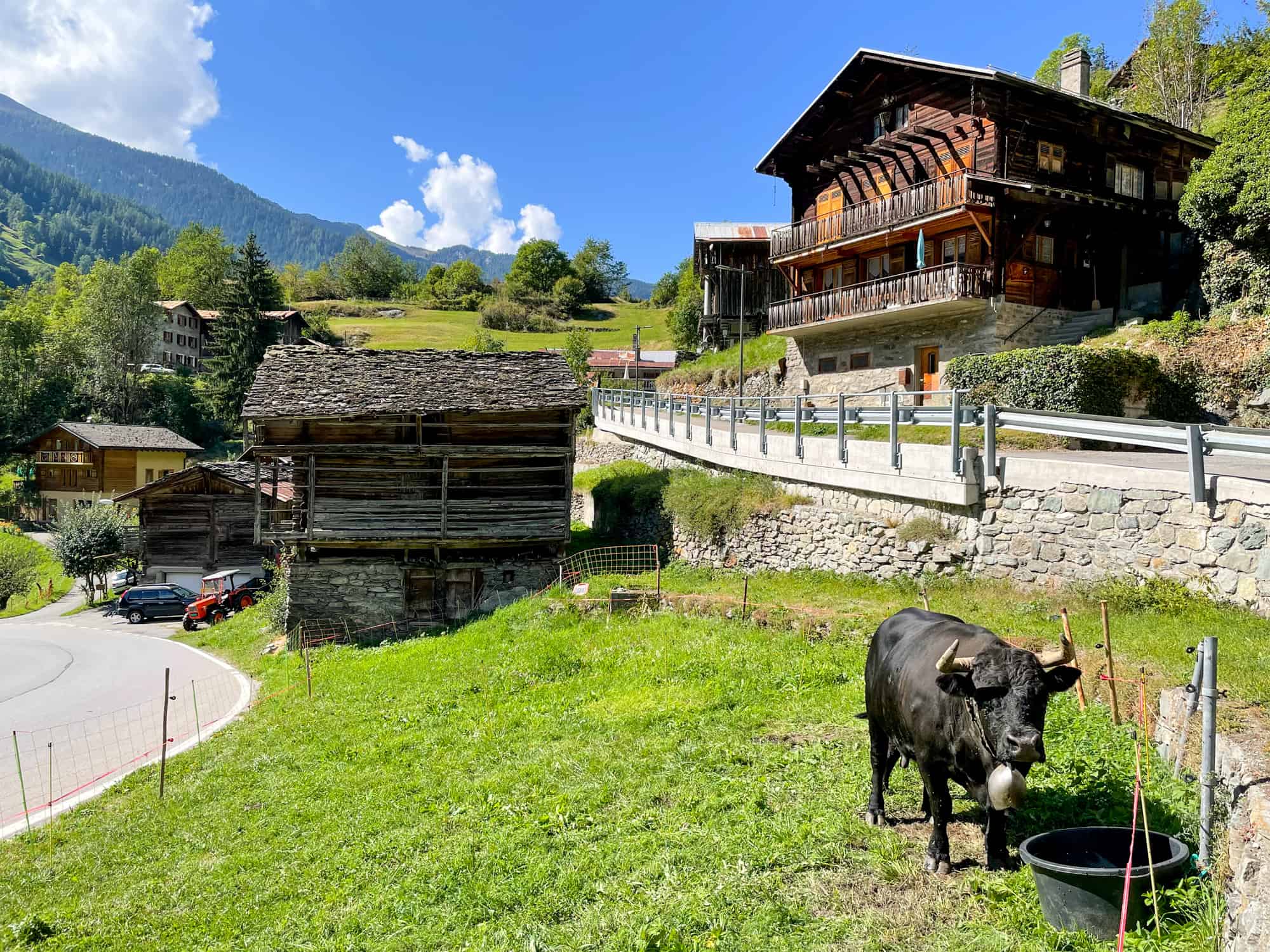 Switzerland - Valais - Verbier - Cow in front of chalet