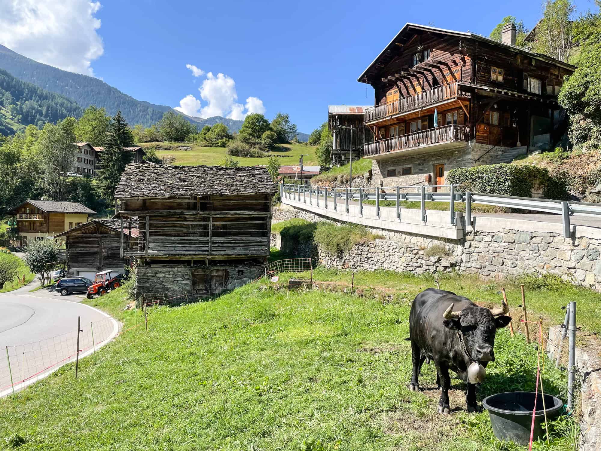Switzerland - Verbier Ebike view of cow with cowbell and traditional wooden chalet in Swiss mountains