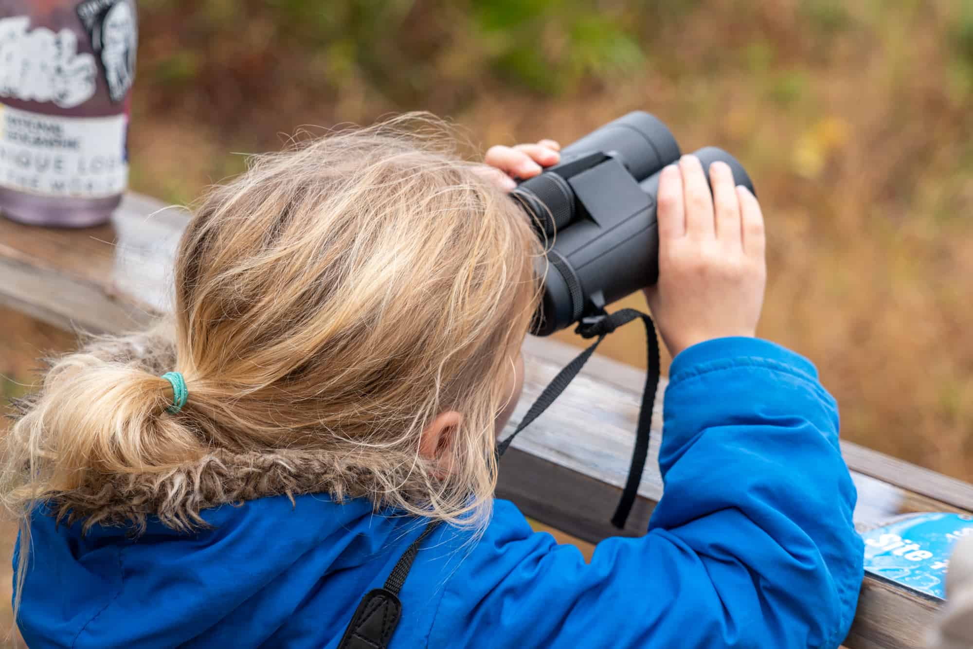 USA - Alabama - Gulf State Park - child with binoculars
