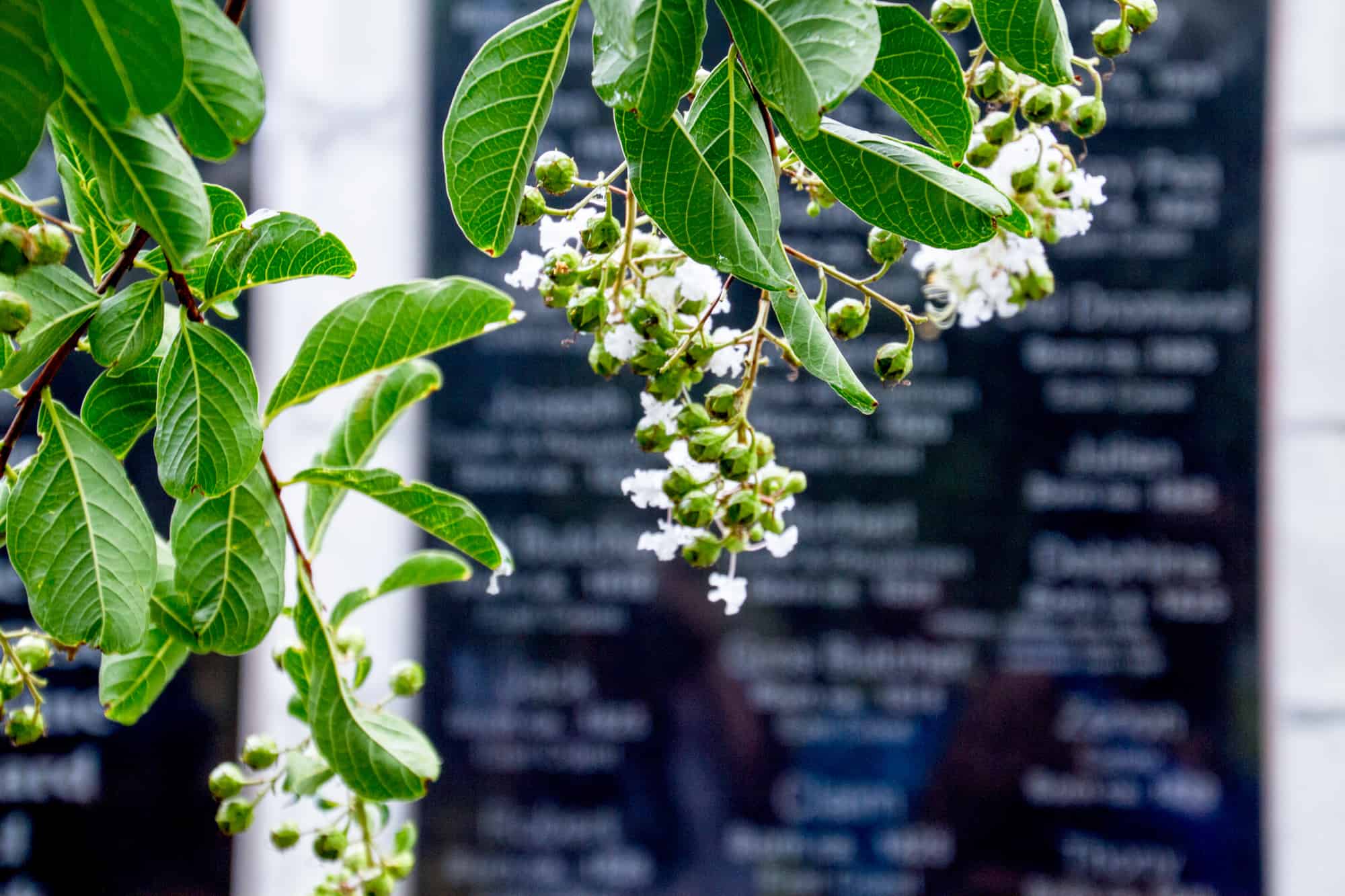 USA - Louisiana slave memorial - dark tourism site- wall of remembrance