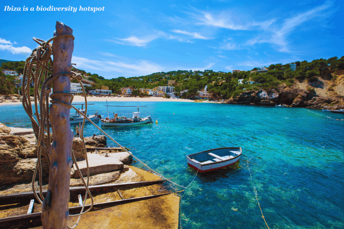 Empty boats docked on the shore of an abandoned beach in Ibiza, Spain - interesting facts about Ibiza