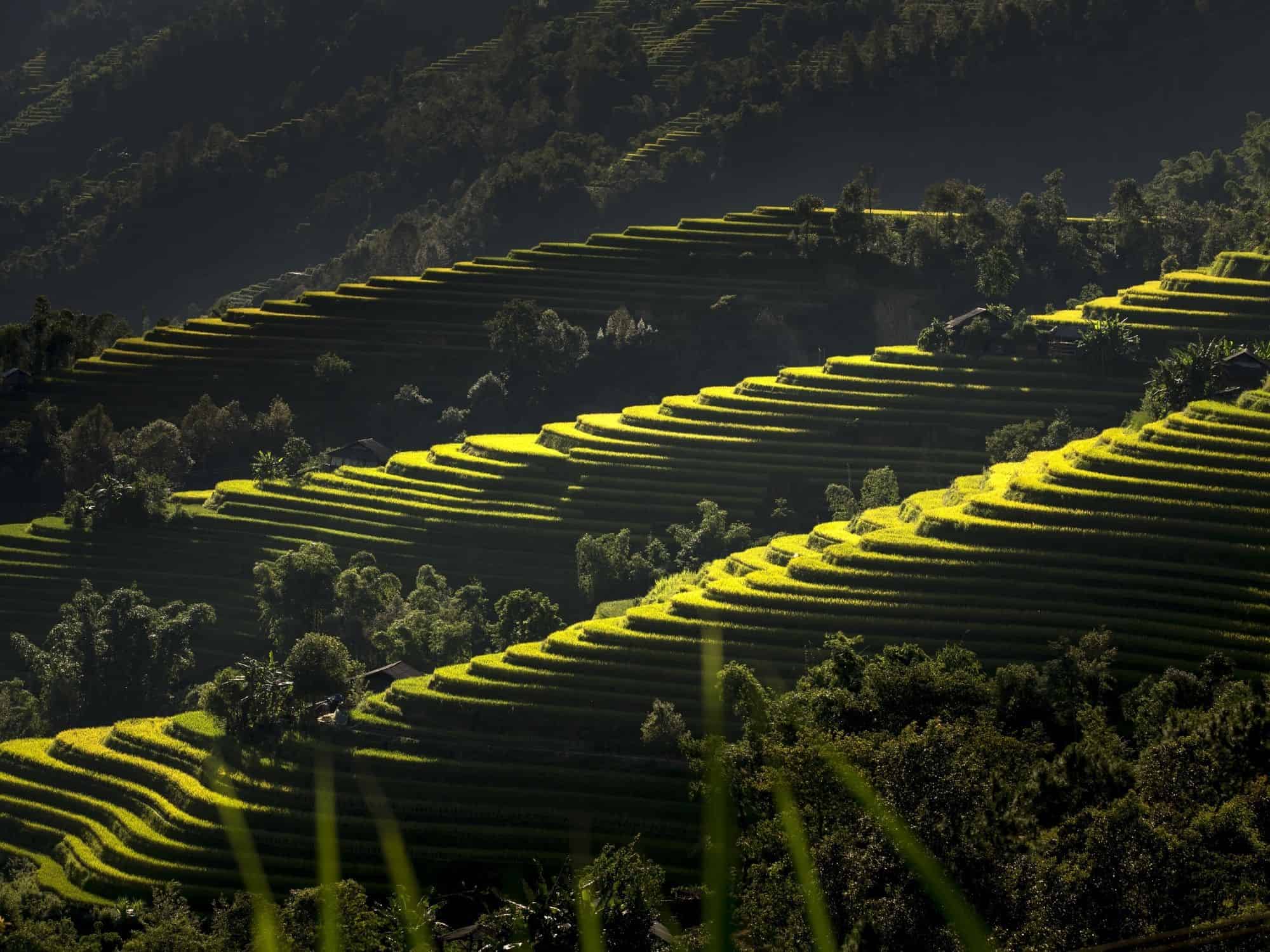 Rice Terraces of the Cordilleras - Philippines Bucket List