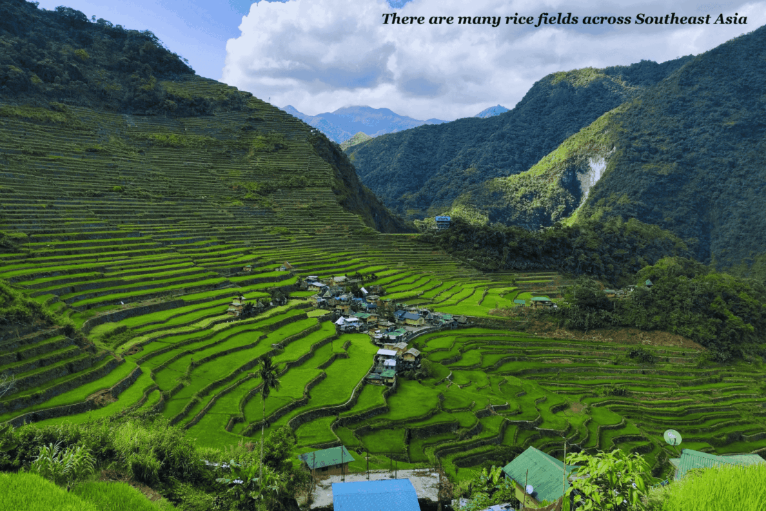 Houses in the middle of a rice terrace  in the Philippines - Philippines bucket list 