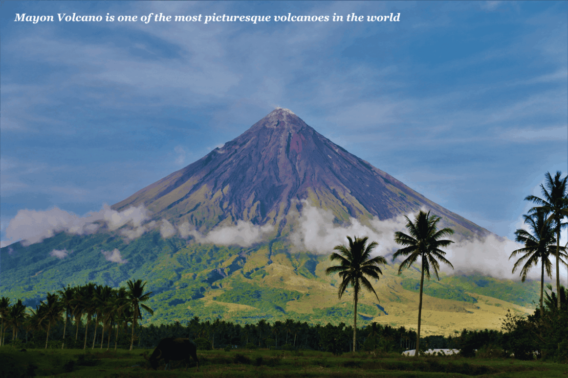 Palm trees in front of Mayon Volcano in  in the Philippines - Philippines bucket list 