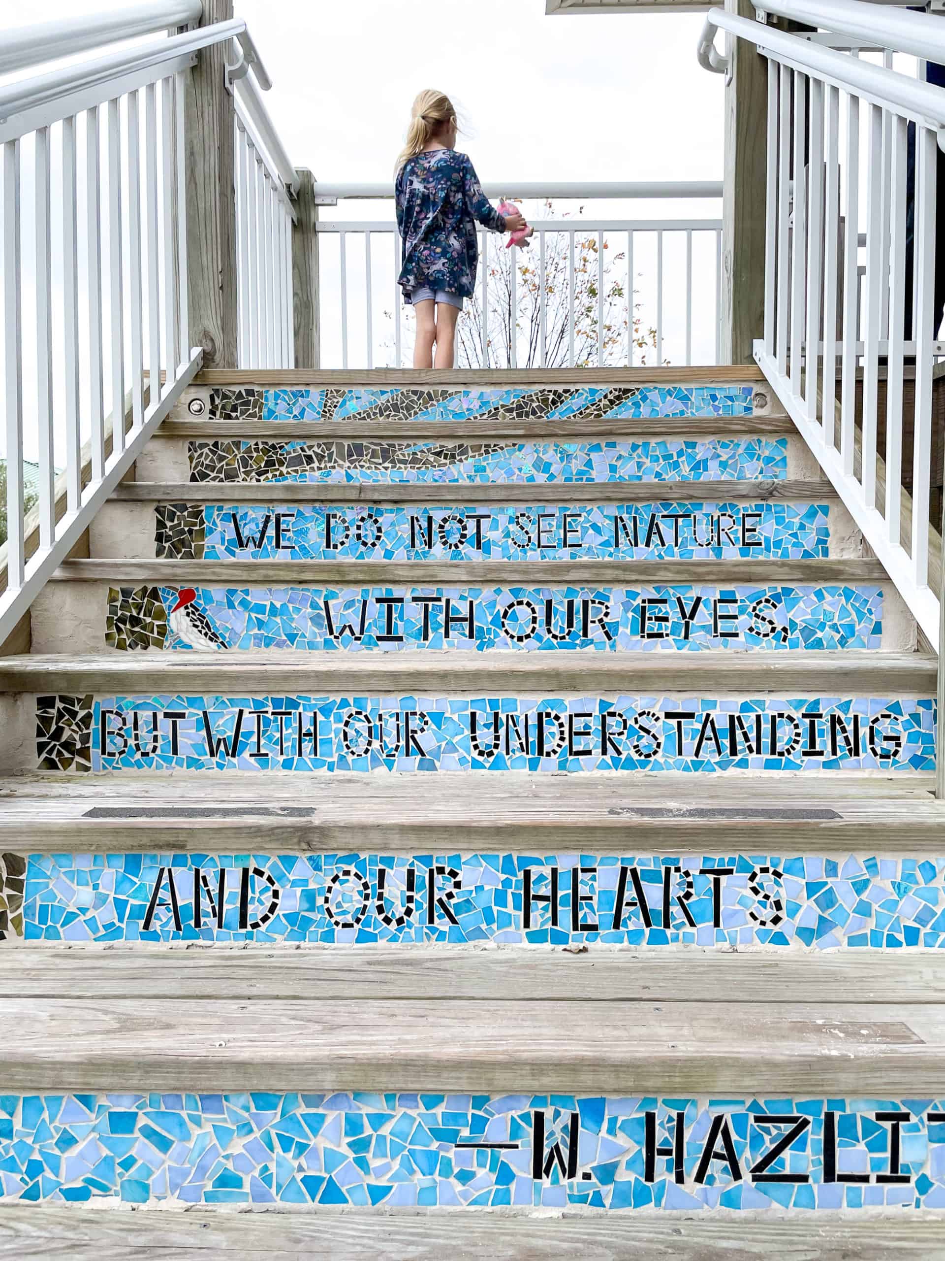 Sustainable beach tip - child on we do not see nature with our eyes but with oru understanding and our heart staircase