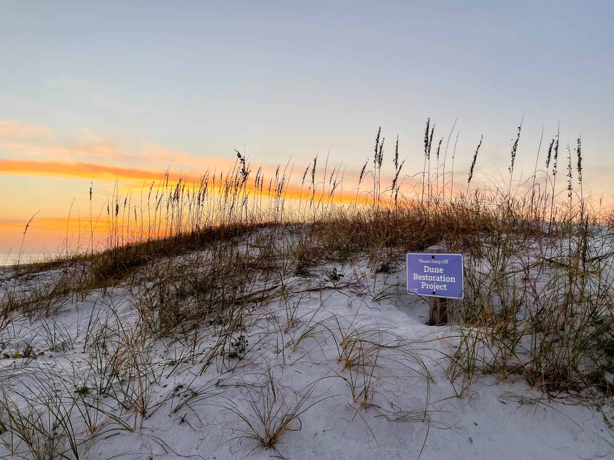 Sustainable beach vacation tips - Dune Restoration Project in Alabama