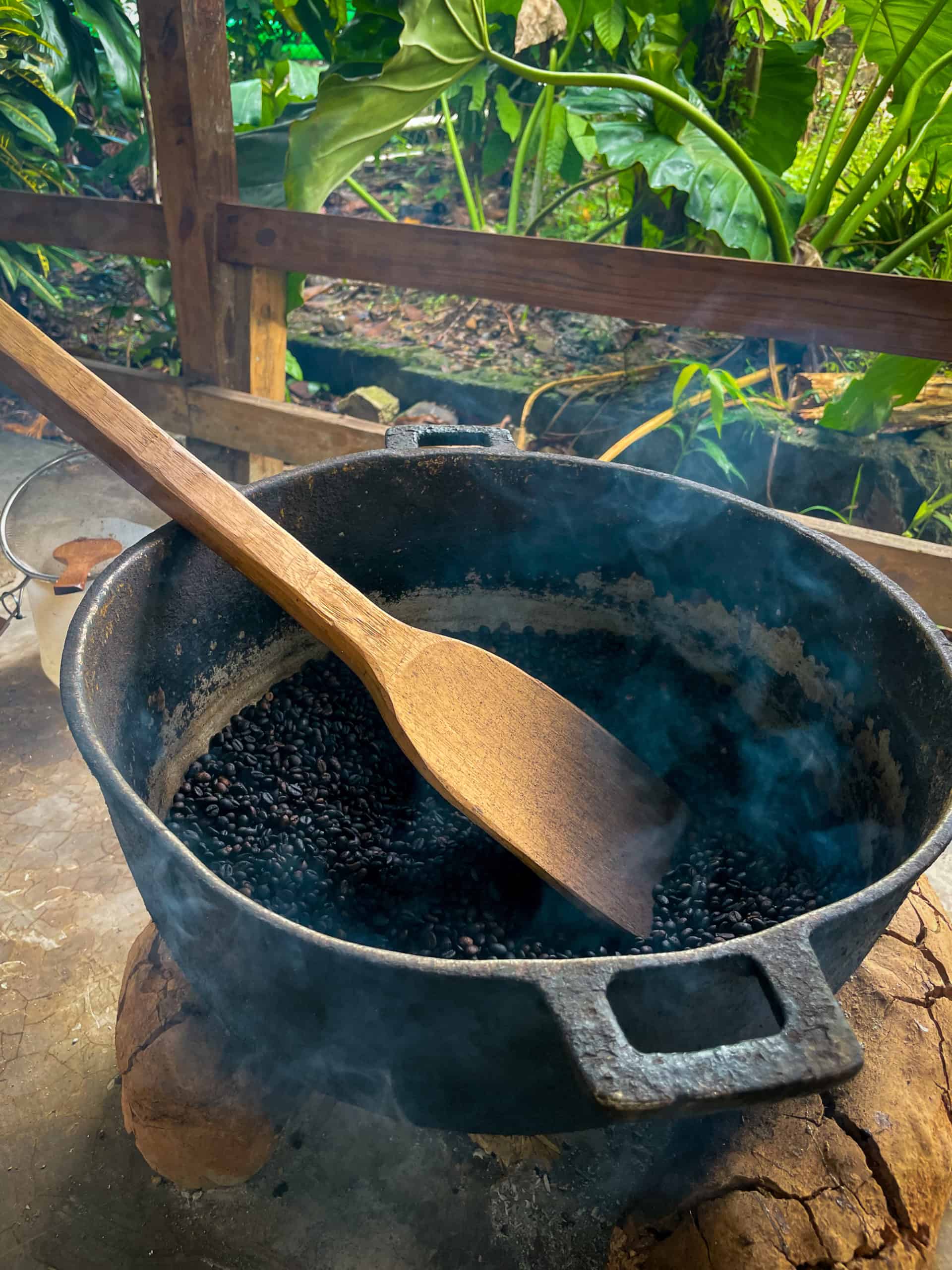 Dominican Republic - roaasting coffee beans the traditional way in the mountains
