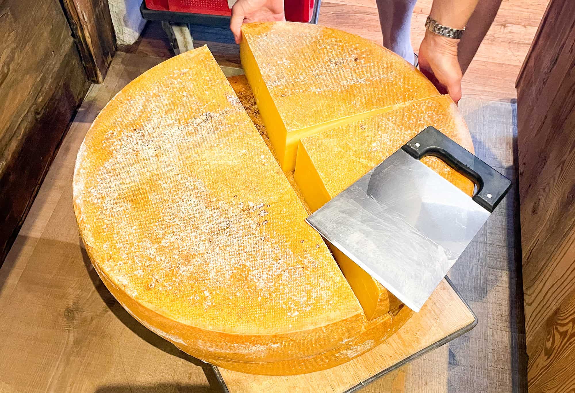 Austria - Tirol - Wilder Kaeser giant cheese disc