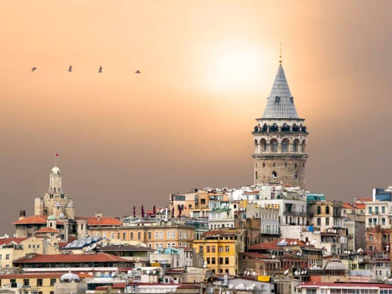 Istanbul-in-winter-city-skyline-with-birds-flying-overhead