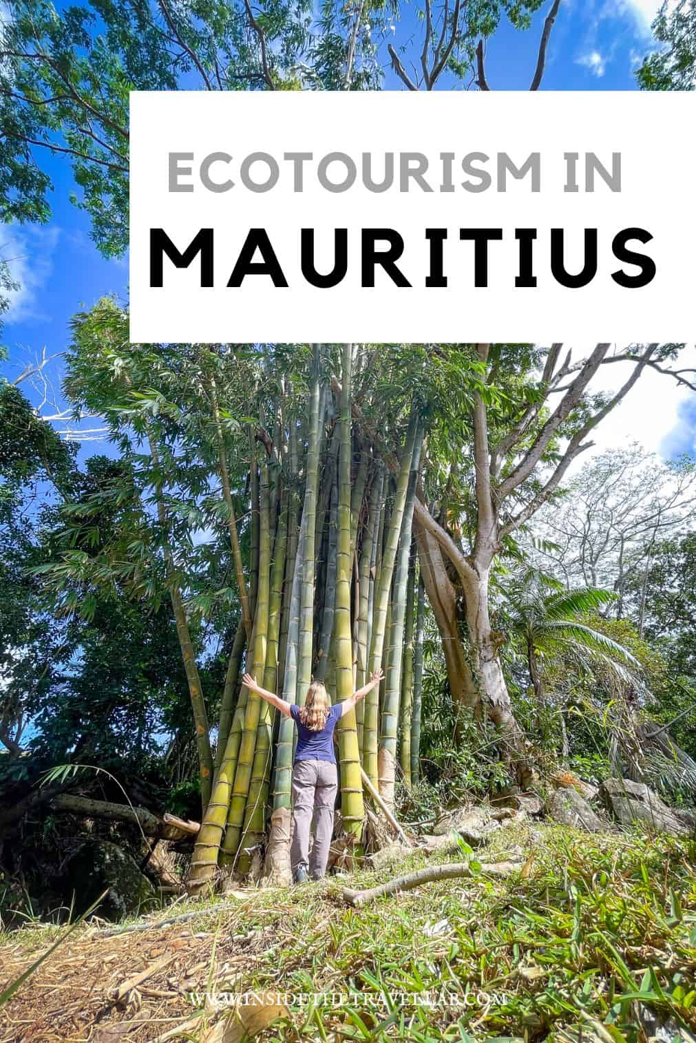 Ecotourism in Mauritius cover image - woman hugging tree with title overlay