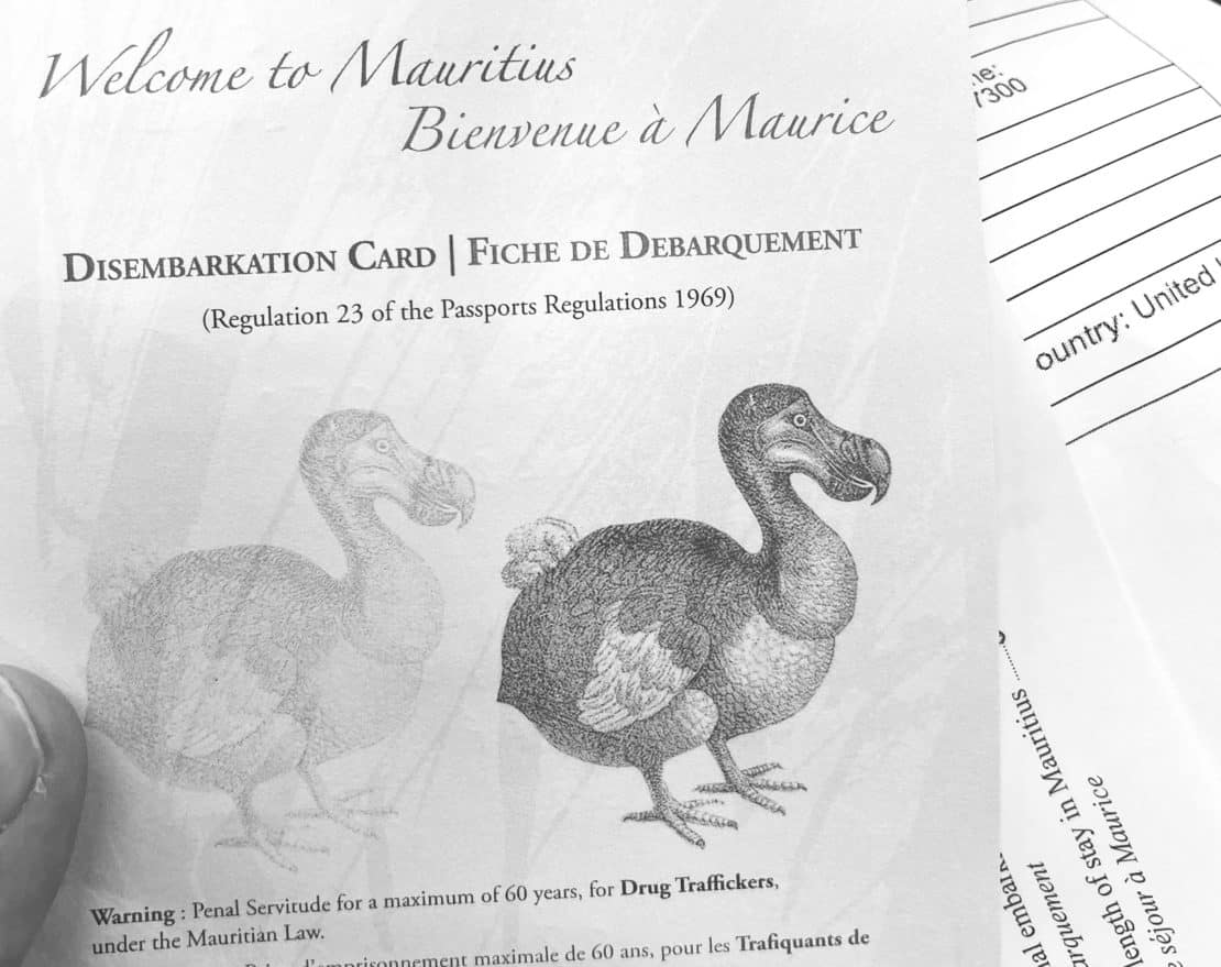 Black and white image of the Dodo on the welcome to Mauritius paperwork