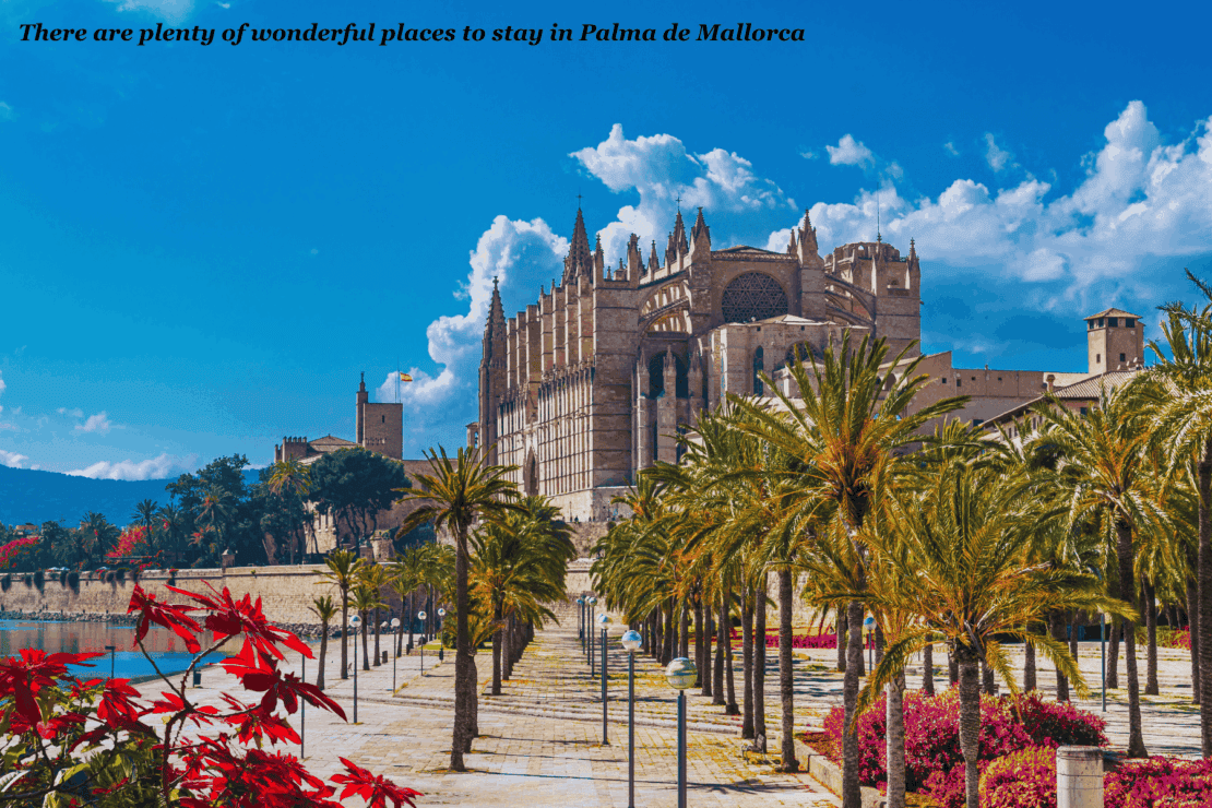 Palm trees and cathedral - one day in Palma de Mallorca