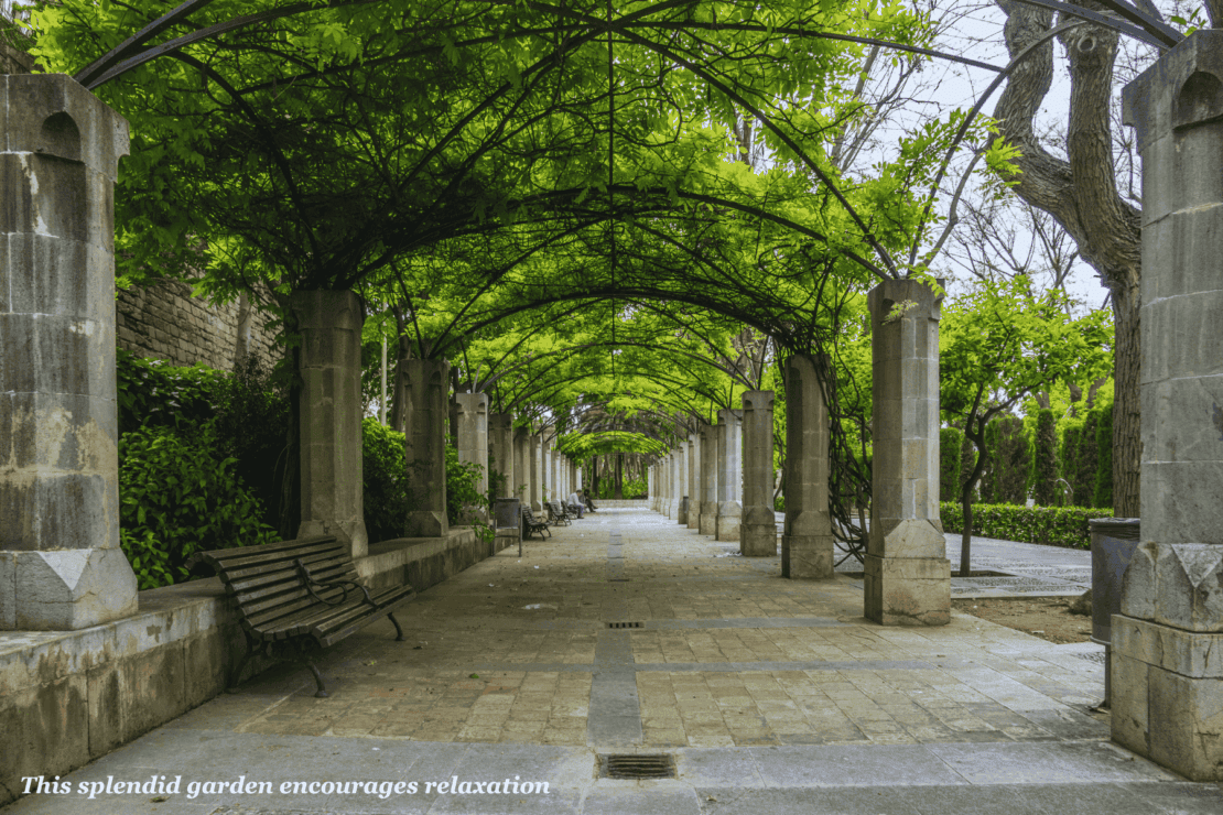 Tree lined passage in S'Hort del Rei - one day in Palma de Mallorca