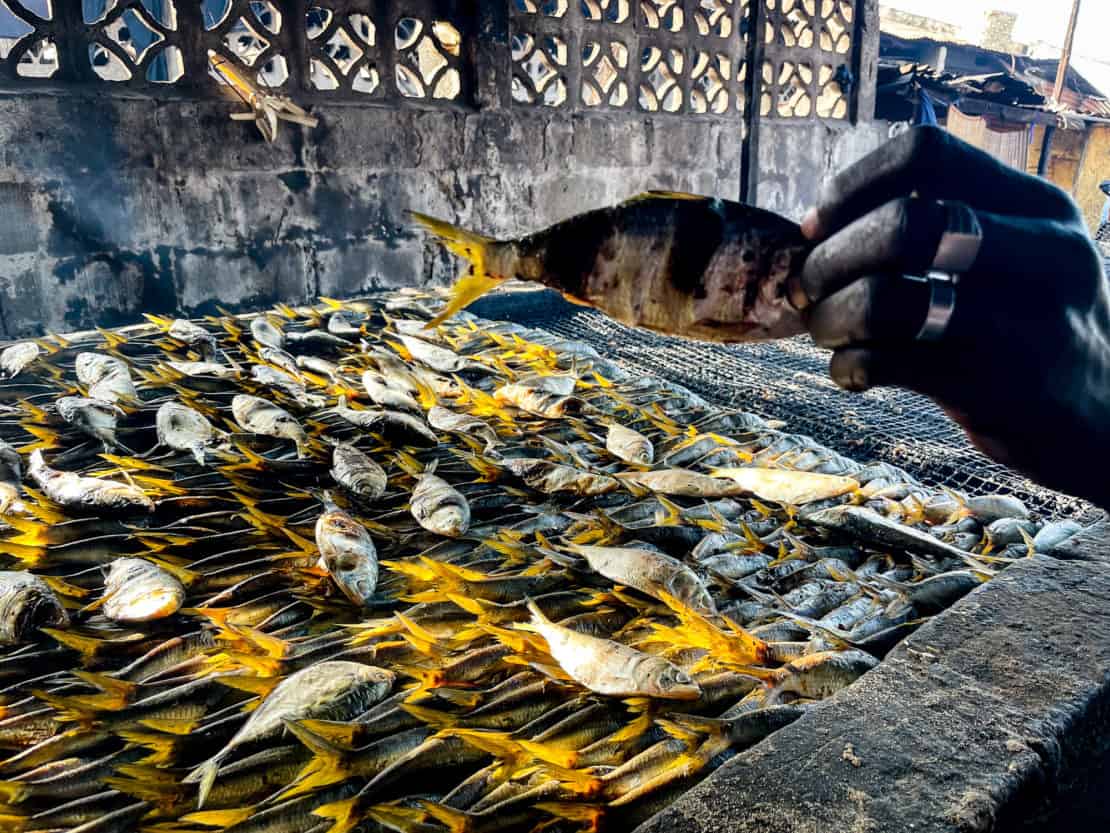Rows of fish smoking in Tanji fish market