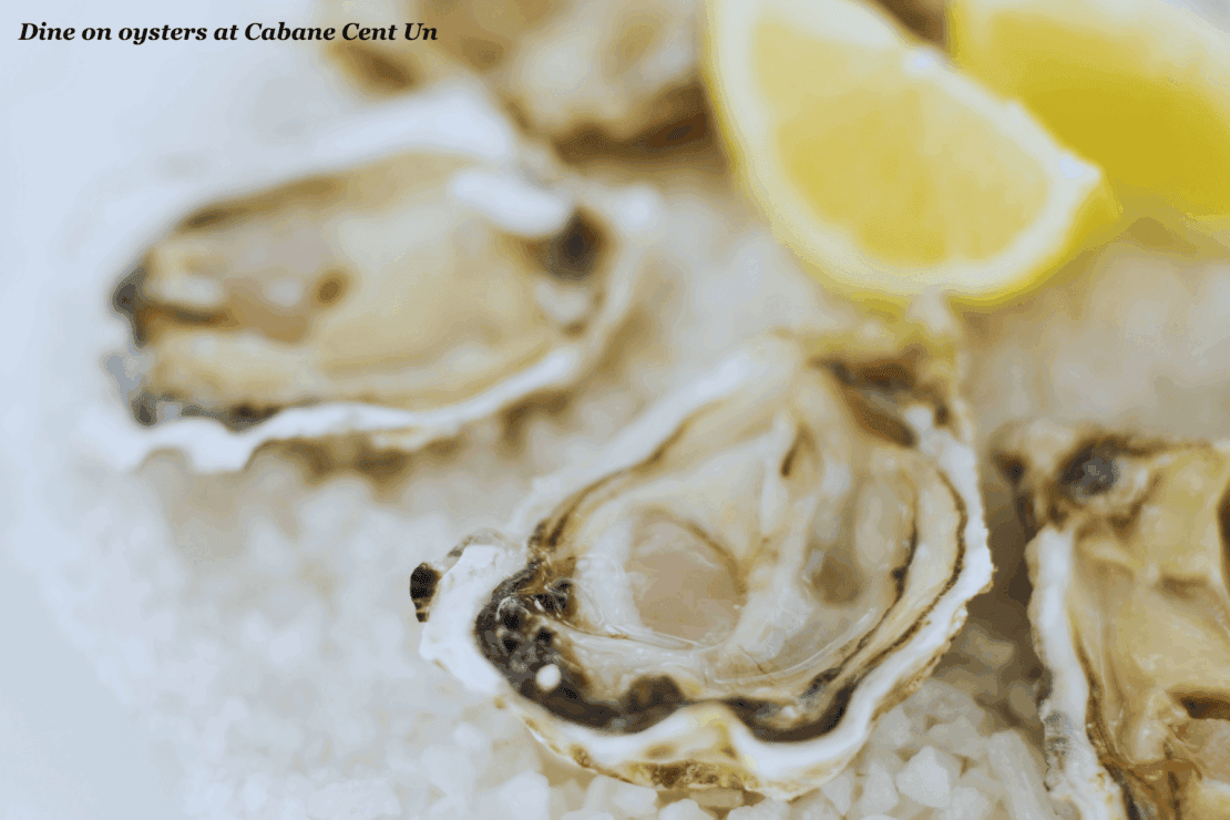 Plate of oysters and lemon wedges - Bordeaux itinerary