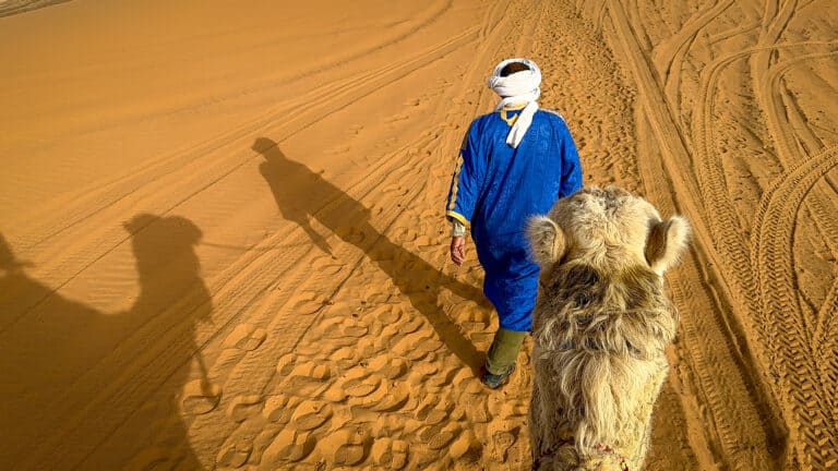 A Berber man leads a camel through the desert sands in Morocco
