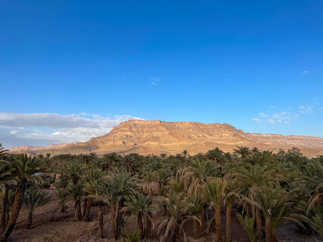 Moroccan landscape with palm trees near the Middle Atlas Mountains