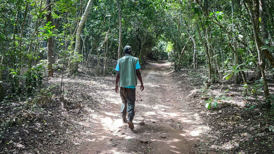 A man walks on an unpaved road in the forest in The Gambia, placed on a list of the best ethical travel destinations by Ethical Traveler