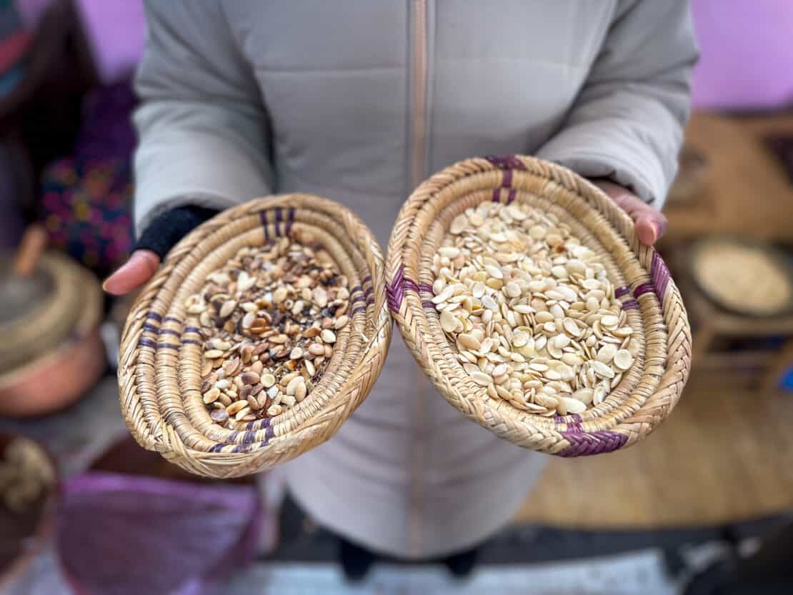 Woman holding argan oil nuts before and after roasting in a women's coopeartive in the Atlas Mountains on a Morocco itinerary