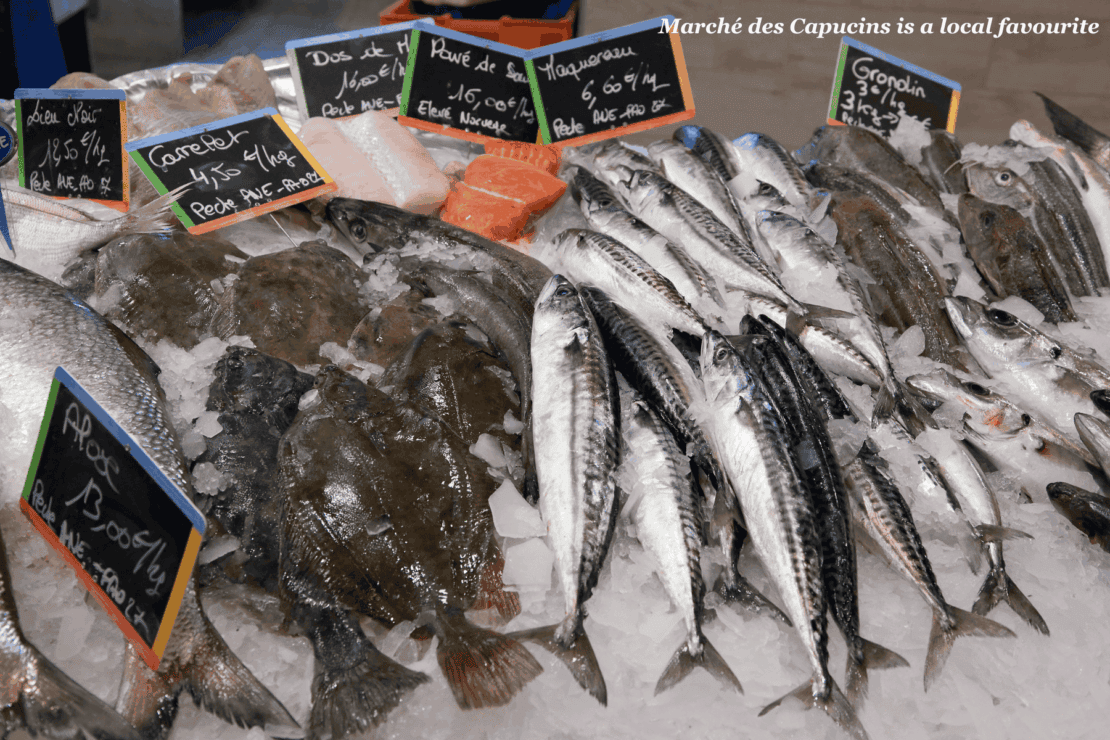 Fish for sale at Marche des Capucins - things to do in bordeaux with kids