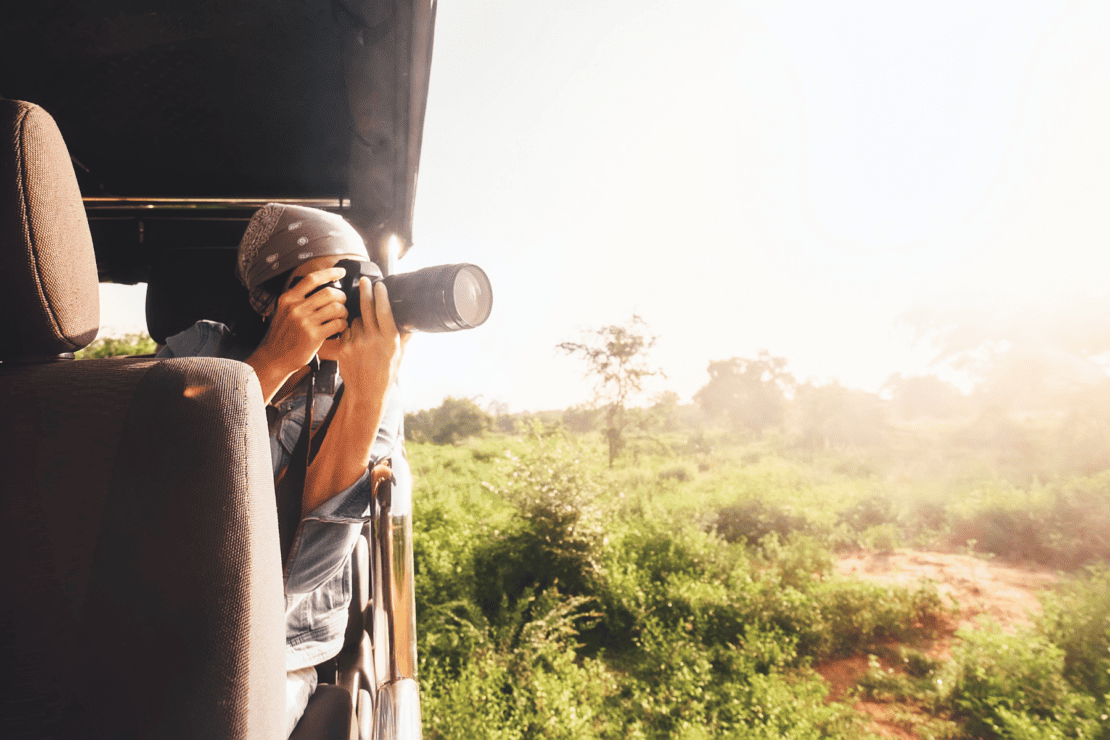 The Best Safari Camera Gear For Your Next Trip