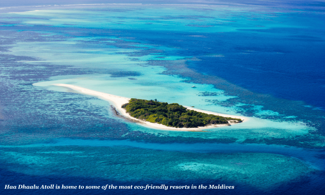 Haa Dhaalu Atoll is one of the best dive spots in the Maldives 