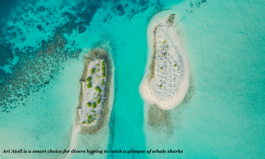 Aerial view of the South Ari Atoll islands, Maldives 